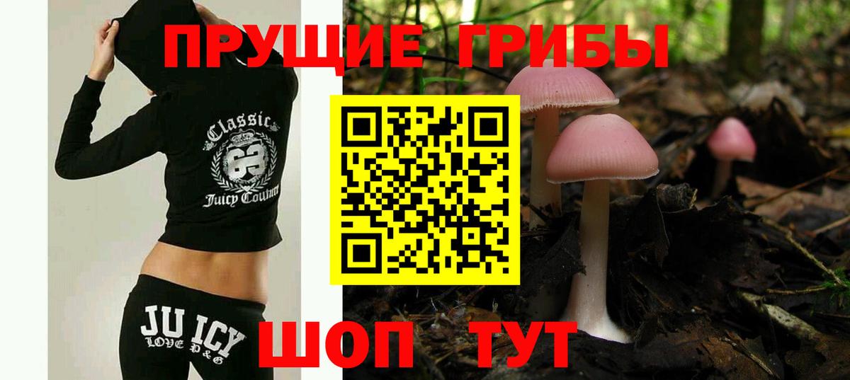 продажа наркотиков  Вход с VPN  Михайловск  Псилоцибиновые грибы Psilocybine cubensis  Псилоцибиновые грибы Psilocybe 